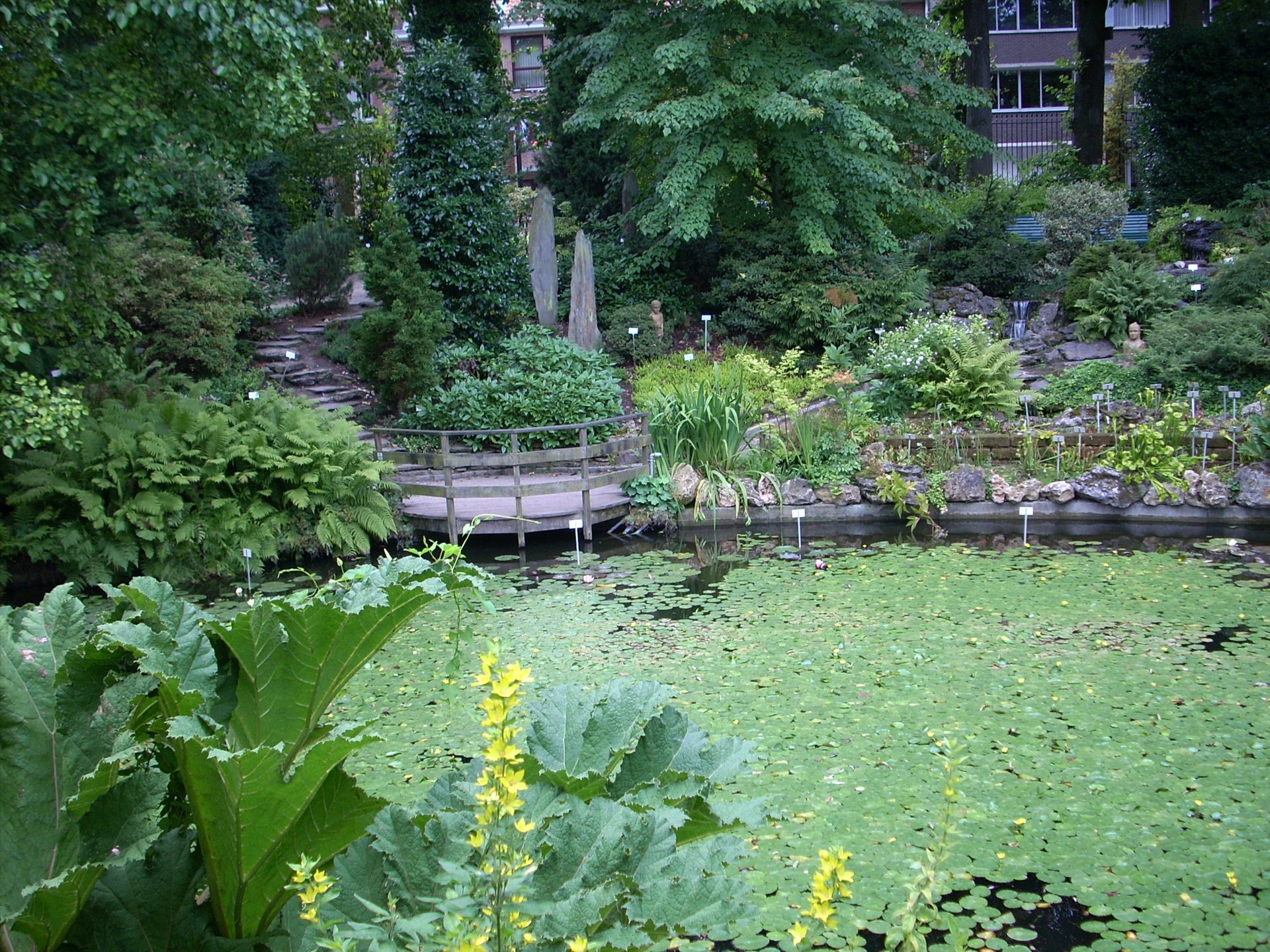 Botanical Garden, Leuven - 06.JPG